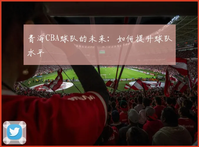 青海CBA球队的未来：如何提升球队水平