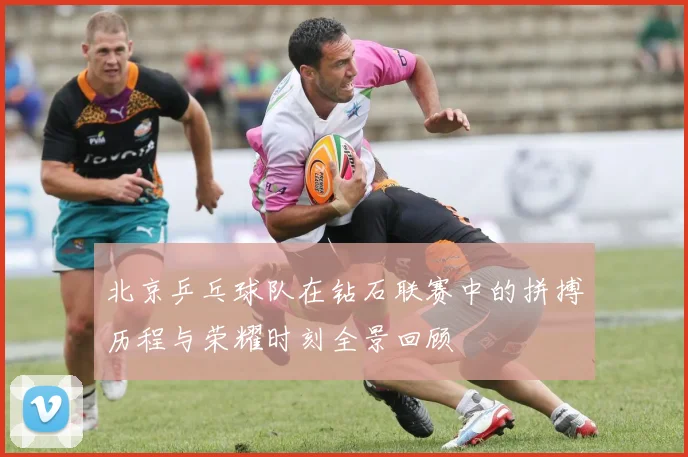 北京乒乓球队在钻石联赛中的拼搏历程与荣耀时刻全景回顾