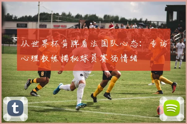 从世界杯黄牌看法国队心态：专访心理教练揭秘球员赛场情绪